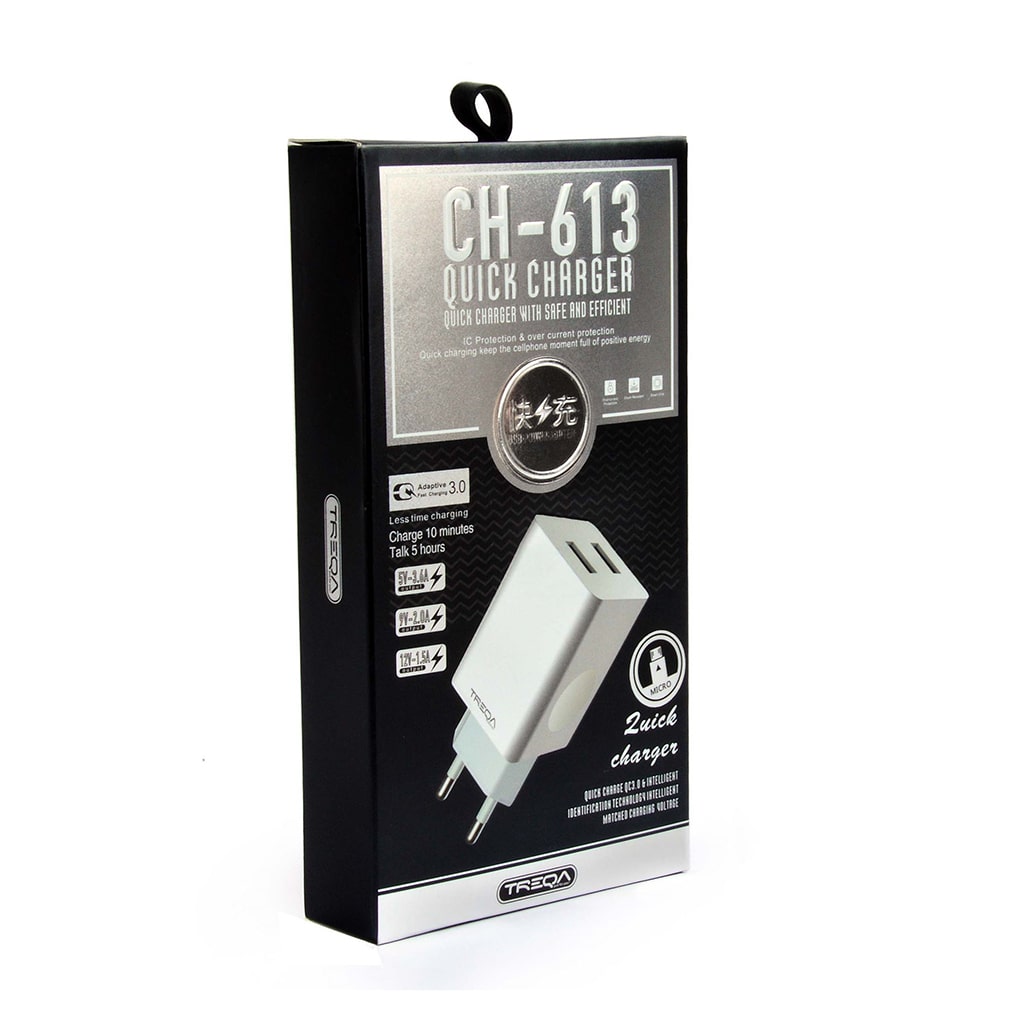 ΦΟΡΤΙΣΤΗΣ TRAVEL 3.1A MICRO TREQA 2XUSB