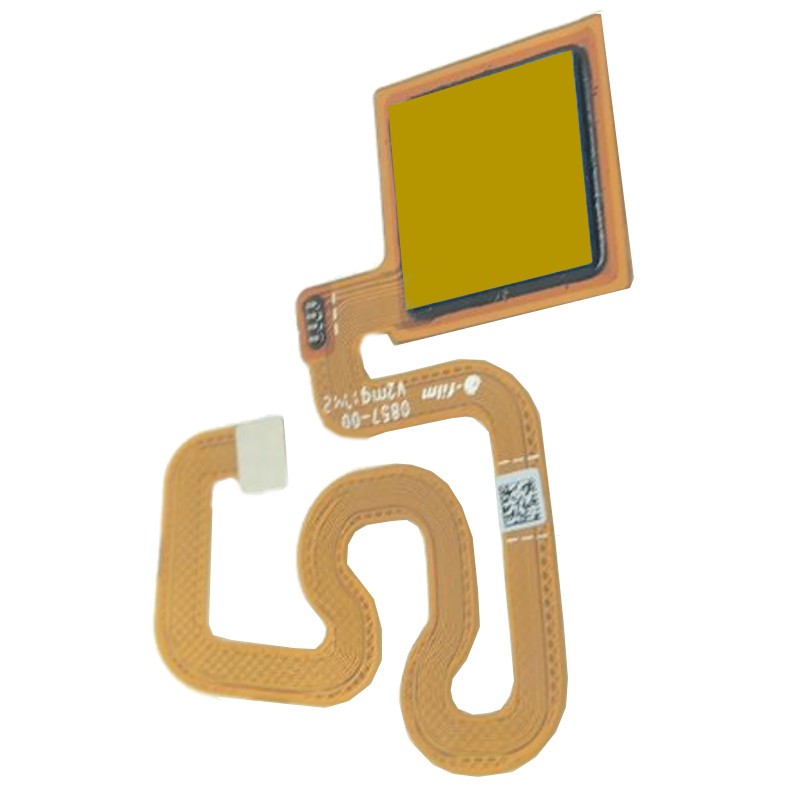 Fingerprint - Home Button