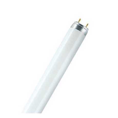 ΛΑΜΠΑ LED T8 1500mm 215W 2250LM 6500K